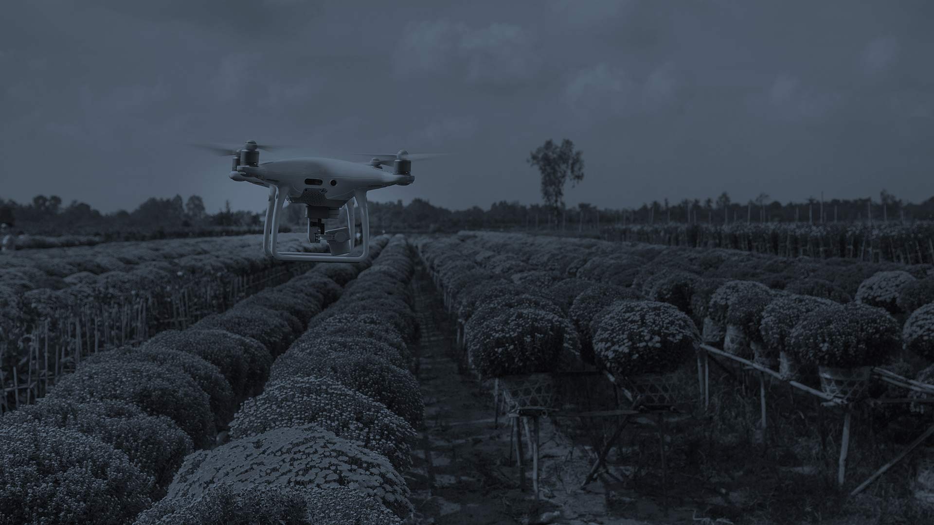 Banner-Modelos-agricola-1