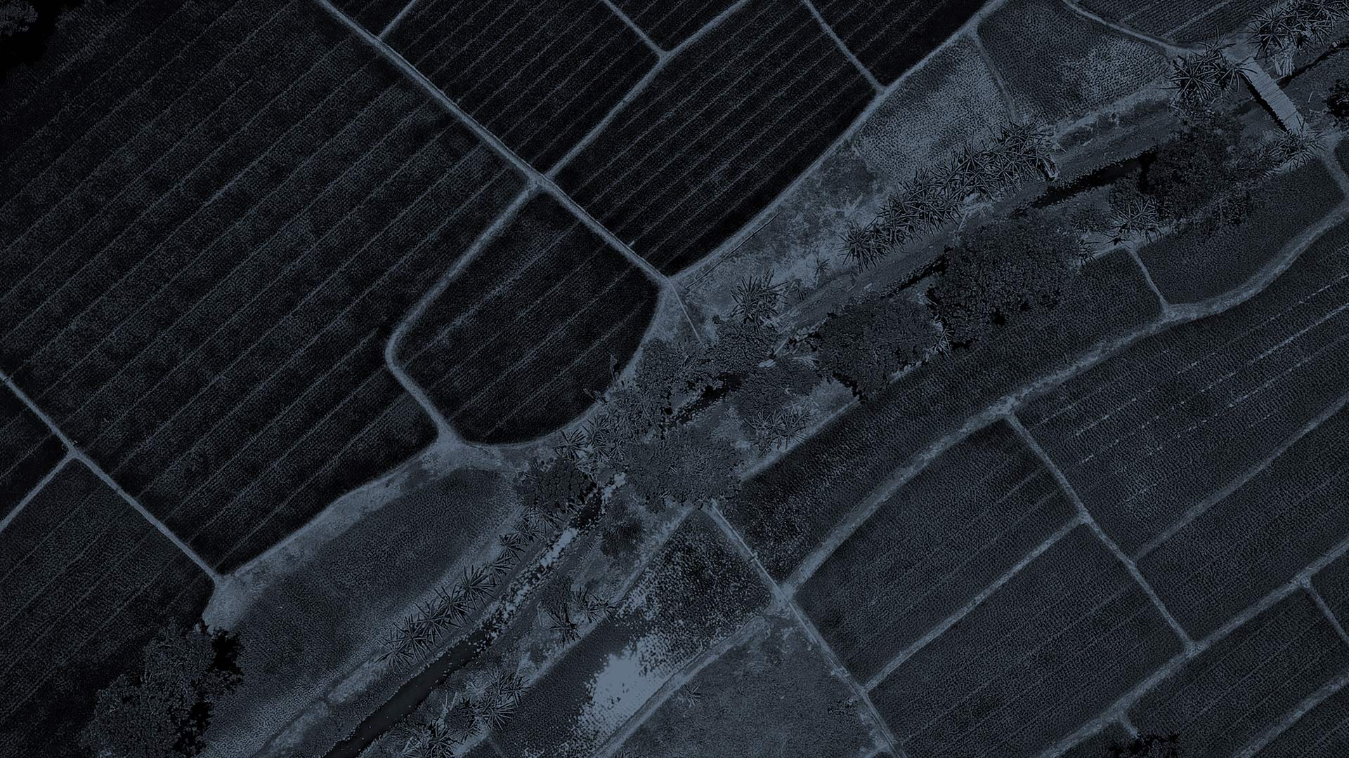 Banner-Optimizacion-de-fincas