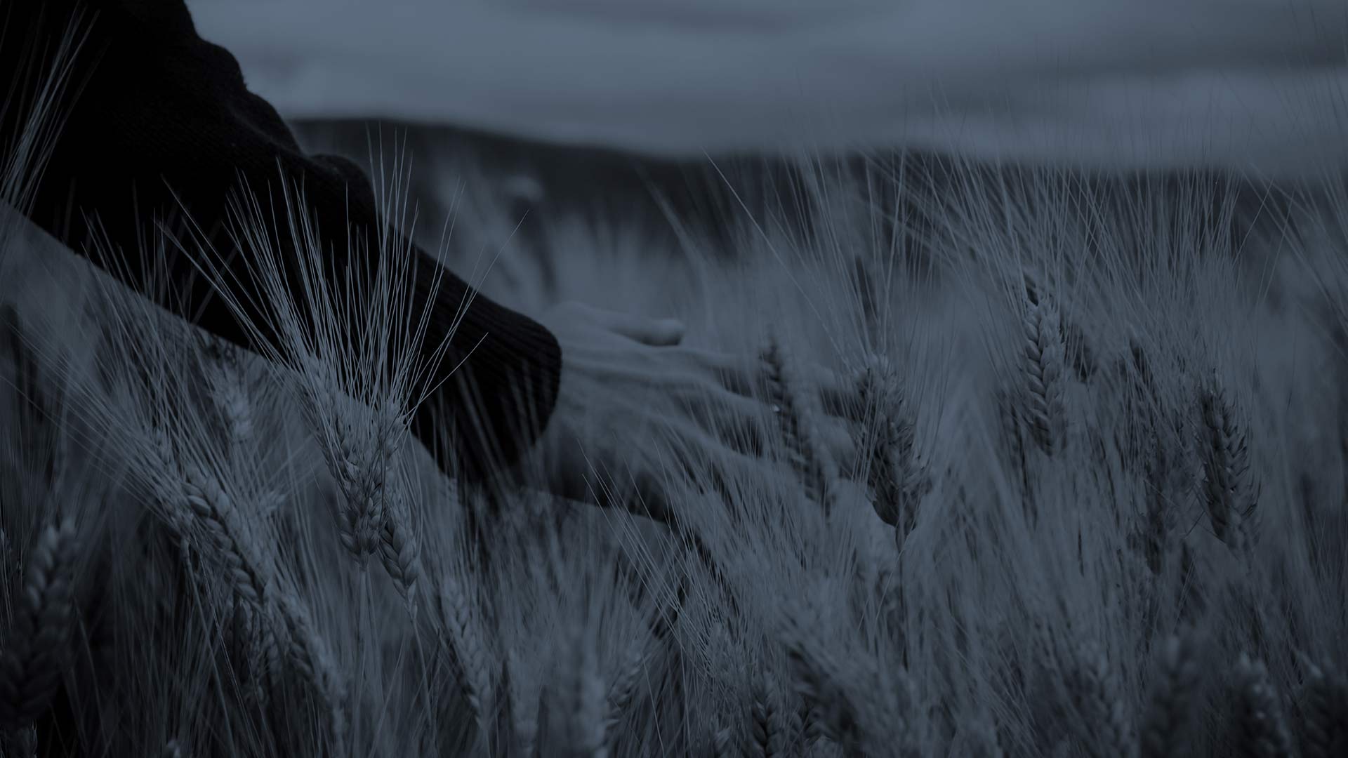 Banner-experiencia-agricola