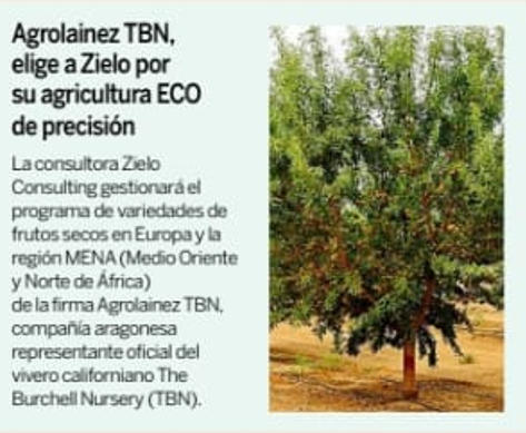 Aparición en Expansión